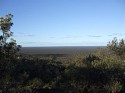 DSCF2524 (Medium).JPG